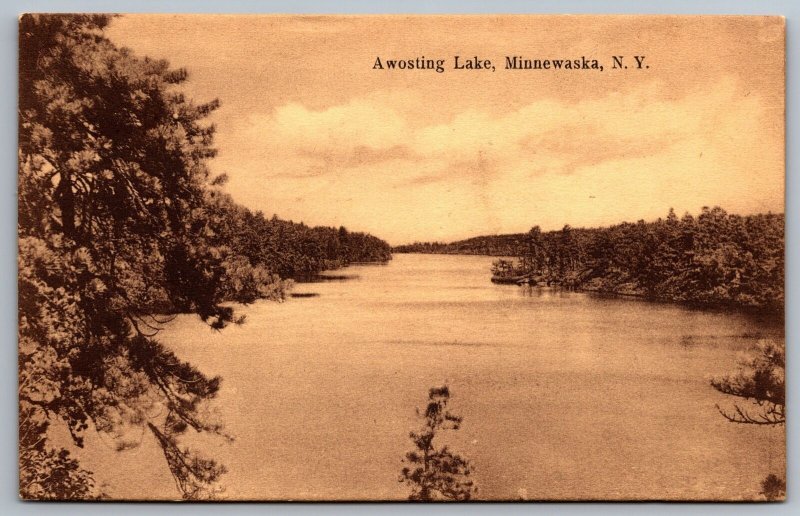 1910's Awosting Lake Minnewaska New York NY Tourist Attraction Posted Postcard 