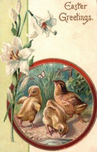 Vintage Postcard 1907 Easter Greetings Chicks White Flower Holiday Wishes Card