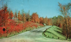 Vintage Postcard 1953 Ablaze With Fall Color Michigan Plastichrome Pub Hiawatha