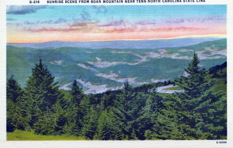 Sunrise Scene Roan Mountain North Carolina State Line Linen Vintage Postcard