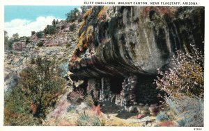 Vintage Postcard Cliff Dwellings Scenic View Walnut Canyon Flagstaff Arizona AZ