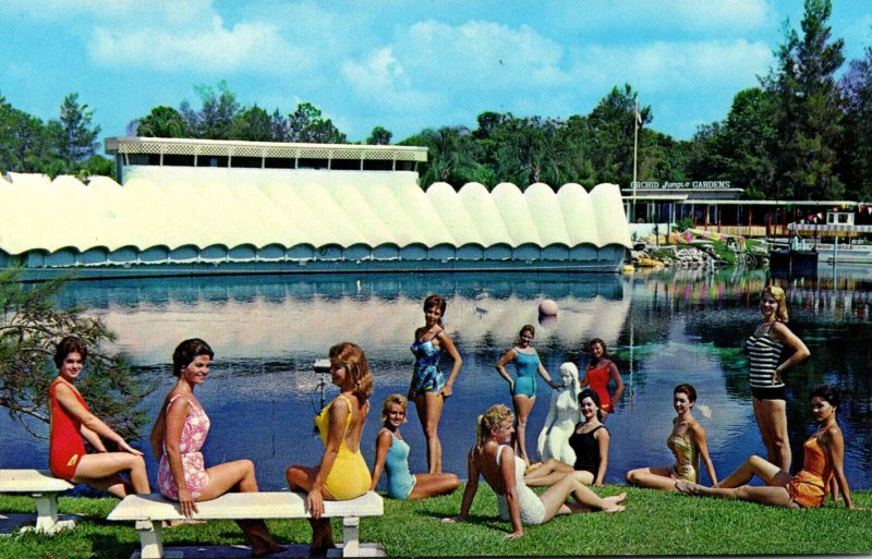 Florida Weeki Wachee Springs Lovely Mermaids Posing On The Beach