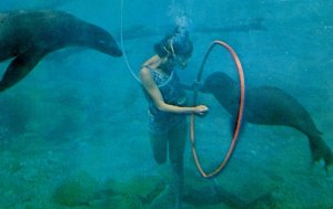 Canada - ON, Niagara Falls. Marine Wonderland