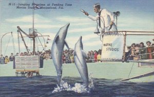 Jumping Porpoises At Feeding Time Marine Studios Marineland Florida Curteich