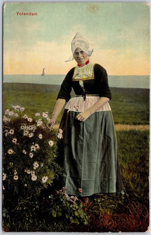 Volendam Girl Picking Up Flowers Maiden Picking Flowers Postcard