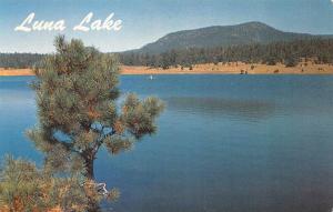 NM, New Mexico         BOATER ON LUNA LAKE  Highway 260        Postcard