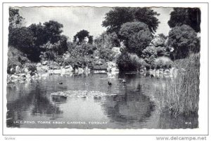 RP, Lily Pond, Torre Abbey Gardens, Torquay (Devon), England, PU-1963