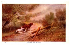 Dog , Awaiting the Hunter