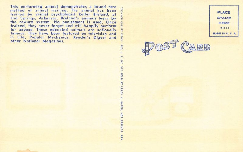 LPD24   Chicken Dancing Delma's Dance Hall    Postcard