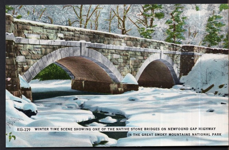 TN Winter Time Native Stone Bridges Newfound Gap Highway Great Smoky Mountain