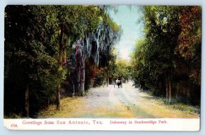 c1910 Texas TX Postcard Greetings From San Antonio Driveway Brackenridge Park
