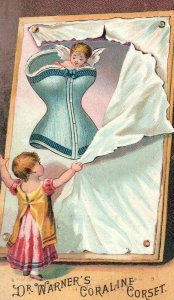 1880's Lovely Warner Brothers I. S. Custer Son & Co. Victorian Trade Card P76