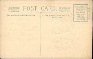 WINSCH Thanksgiving Pilgrim Woman Plucking Dead Turkey Antique Postcard