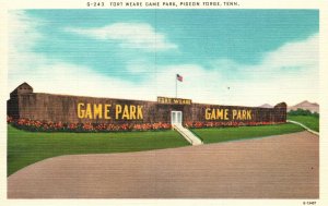 Vintage Postcard 1930's View of Fort Weare Game Park Pigeon Forge Tennessee TN