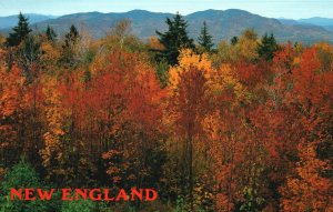 Postcard Autumn Majesty Rugged Mountain Landscape Fiery Scene New England