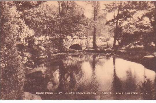 New York Port Chester Duck Pond Saint Lukes Convalescent Hospital Artvue