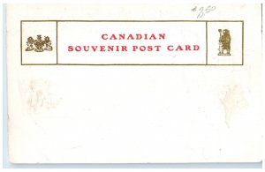 c1905 The Quinte Belleville Ontario Canada Antique Flag Logo Leaf Postcard
