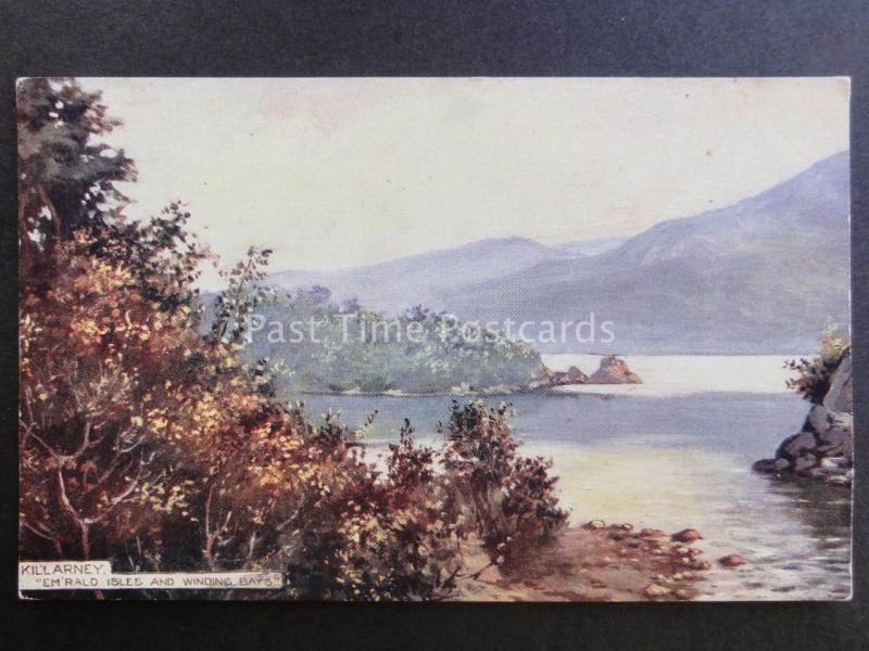 Ireland Co.Kerry KILLARNEY EMERALD ISLES & WINDING BAYS UB Tuck's Panoramic Card