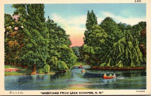 New Hampshire Greetings From Lake Sunapee Curteich