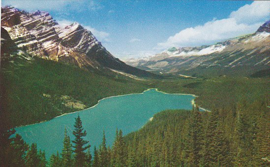 Mt Patterson Peyto Lake Icefields Highway British Columbia Canada