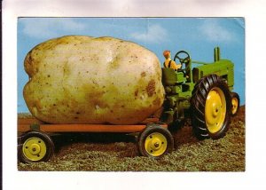 Exaggeration, Potato How We Grow Em On, Prince Edward Island, Toy Tractor