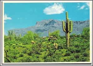 Arizona - Superstition Mountains - [AZ-092X]