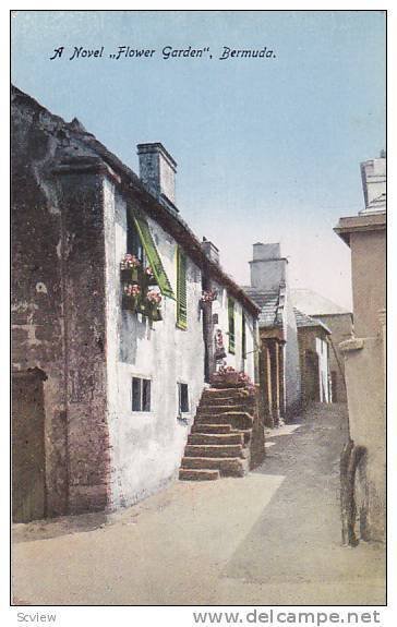 A Novel Flower Garden, Bermuda, 1900-1910s