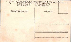 RPPC - Romance - Two Lovers with a Pink Flower - c1912