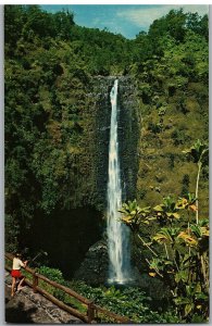 Akaka Falls Made Famous in Song and Legend of Old Hawaii Hilo Hawaii Postcard