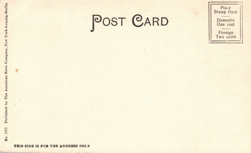 Vintage Postcard 1900's View On the Road to Indian River Sitka Alaska AK