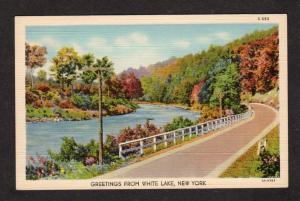 NY Greetings From White Lake New York Linen Postcard PC Carte Postale