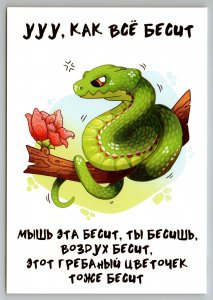 SNAKE and FLOWERS on Tree All Freak Me FUNNY Comic ART New Unposted Postcard