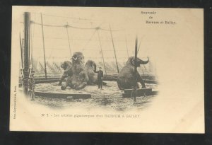 SOUVENIR OF BARUM AND BAILEY CIRCUS ELEPHANTS IN THE RING VINTAGE POSTCARD