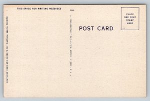 Pretty Girls on Beach in Florida  Palm Trees    Postcard