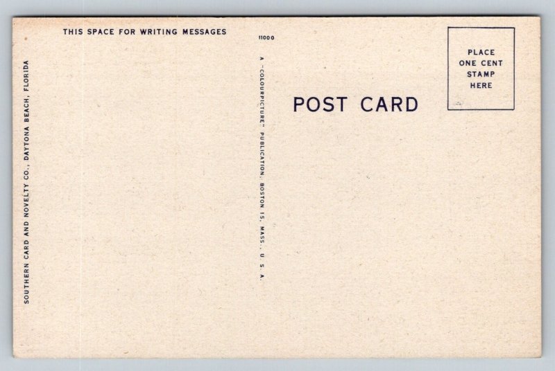 Pretty Girls on Beach in Florida  Palm Trees    Postcard