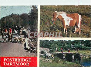 Postcard Modern Postbridge Dartmoor Pony