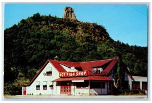 Winona Minnesota MN Postcard The Hot Fish Shop Exterior Roadside c1960's Vintage