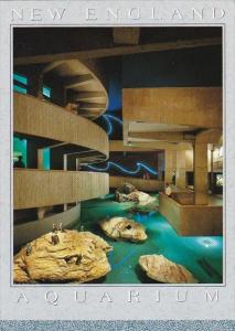 New England Aquarium Boston Massachusetts