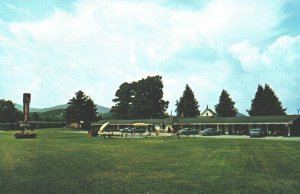 USA Cardinal Motel Boon North Carolina Chrome Postcard 04.04