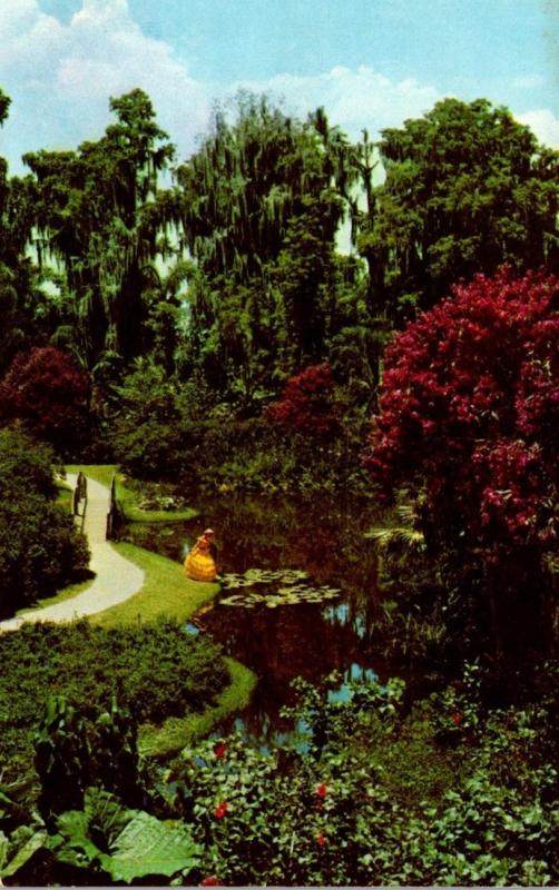 Florida Cypress Gardens Beautiful Flowers In Bloom 1973