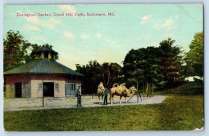 Baltimore Maryland MD Postcard Zoological Garden Druid Hill Park c1909 Vintage