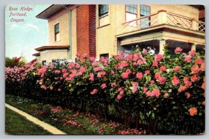 Rose Hedge  Portland   Oregon  Postcard   c1915