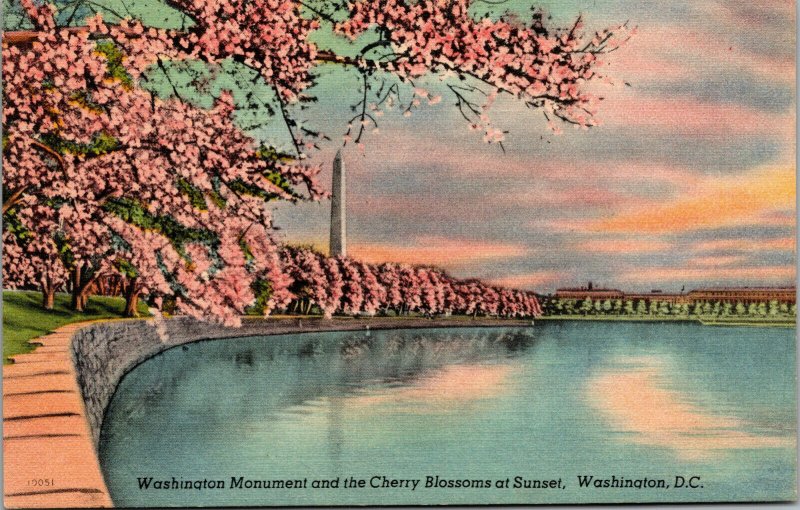 Vtg Washington Monument and Cherry Blossoms at Sunset Washington DC Postcard