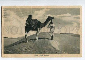 3076817 CAMEL & man in desert & from ITALIAN LIBIA RPPC
