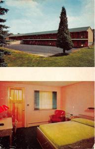 Bainbridge New York~Algonkin Inn & Motel~Exterior & Room View~1960 Postcard