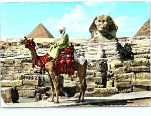 VINTAGE CONTINENTAL SIZE POSTCARD REAL PHOTO RPPC THE GREAT SPHYNX EGYPT 1961