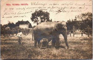 Argentina Buenos Aires Calle de Santa Fe Vintage Postcard C045