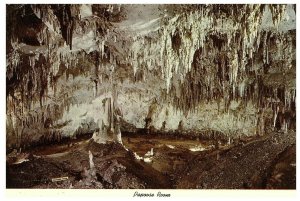 Aerial View Postcard Papoose Room Carlsbad Caverns New Mexico Postmarked 1976