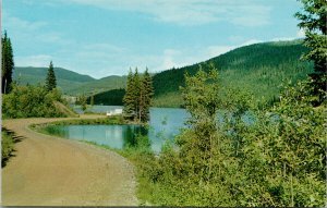 Wells BC British Columbia Jack of Clubs Unused Postcard G14