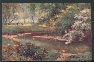 Essex Postcard - The Ching Brook, Epping Forest    RS14372